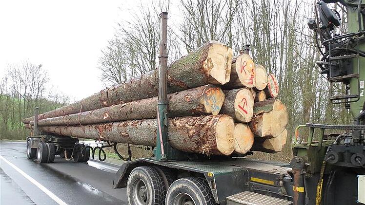 Auch einen Langholztransport stoppte die Polizei. Bei ihm waren 47 Tonnen geladen.
