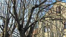 Im ehemaligen Biergarten