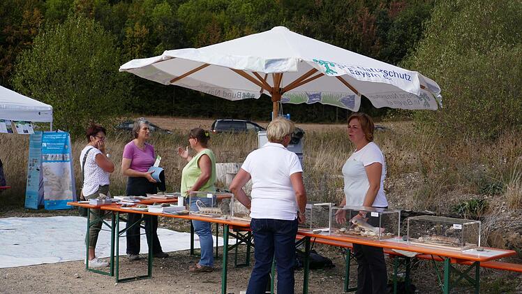Am BN-Stand präsentierten Ute Hauptfleisch (3.von links) und Renate Nüsslein (rechts) zum Teil sehr stark vergrößerte Tierexponate aus Spezialgießharz. So konnten auch die Anatomien von Kleinstlebewesen, wie z. B. Köcherfliegen- und Libellenlarven oder Wasserasseln studiert werden.Foto: Anton Reinhardt