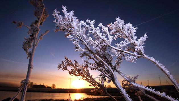 Wetter - Raureif im Sonnenaufgang