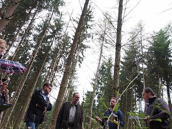 Hubertus Tumpach (Dritter von rechts) und Matthias Wallrapp (Zweiter von rechts) erklären, was mit den Fichten passiert. Foto: Arkadius Guzy