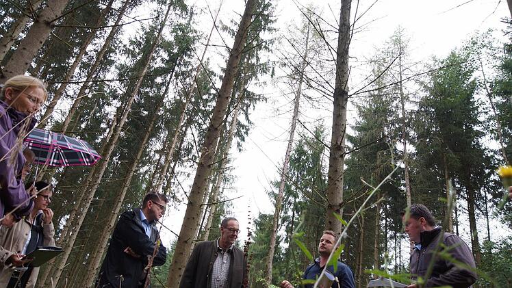 Hubertus Tumpach (Dritter von rechts) und Matthias Wallrapp (Zweiter von rechts) erklären, was mit den Fichten passiert. Foto: Arkadius Guzy