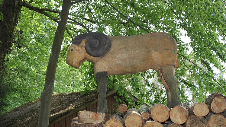 Foto: Carmen Schwind