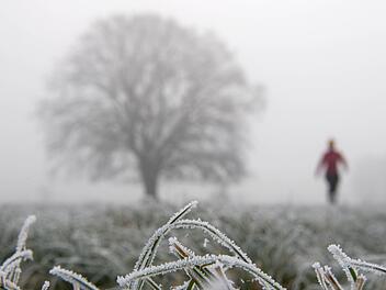 Die Wettervorhersage verspricht Nebel und Frost in Franken. Schnee fällt aber vorerst keiner mehr. Foto: Ingo Wagner/dpa