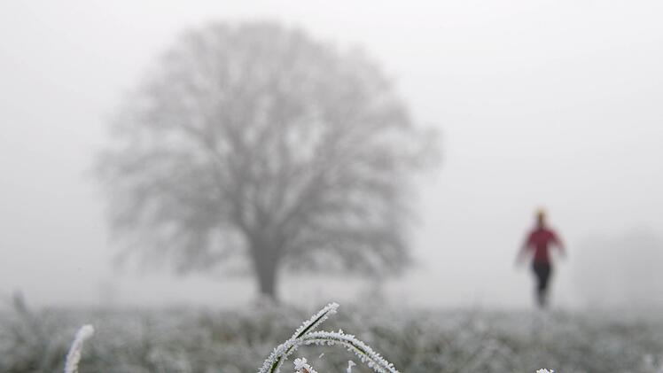 Die Wettervorhersage verspricht Nebel und Frost in Franken. Schnee fällt aber vorerst keiner mehr. Foto: Ingo Wagner/dpa