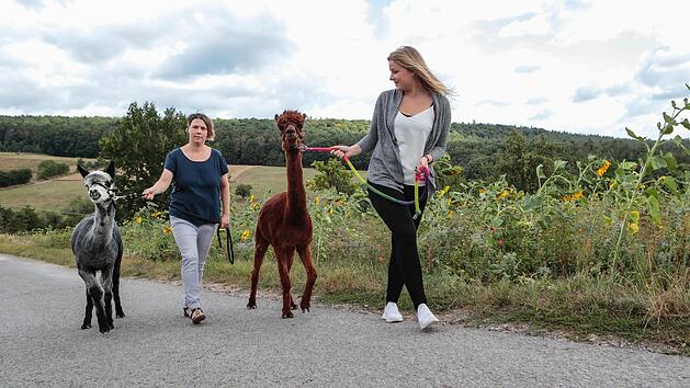 Anja Lipka (links) leitet mit ihrem Mann Stefan den Alpakahof-Lipka in Weisbrunn. Sie zeigt, wie man die Tiere  an der Leine f&uuml;hrt. Normal finden Trekking-Touren ganzj&auml;hrig mit sieben bis 15 Teilnehmern statt. Foto: Matthias Hoch
