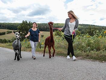 Anja Lipka (links) leitet mit ihrem Mann Stefan den Alpakahof-Lipka in Weisbrunn. Sie zeigt, wie man die Tiere  an der Leine führt. Normal finden Trekking-Touren ganzjährig mit sieben bis 15 Teilnehmern statt. Foto: Matthias Hoch
