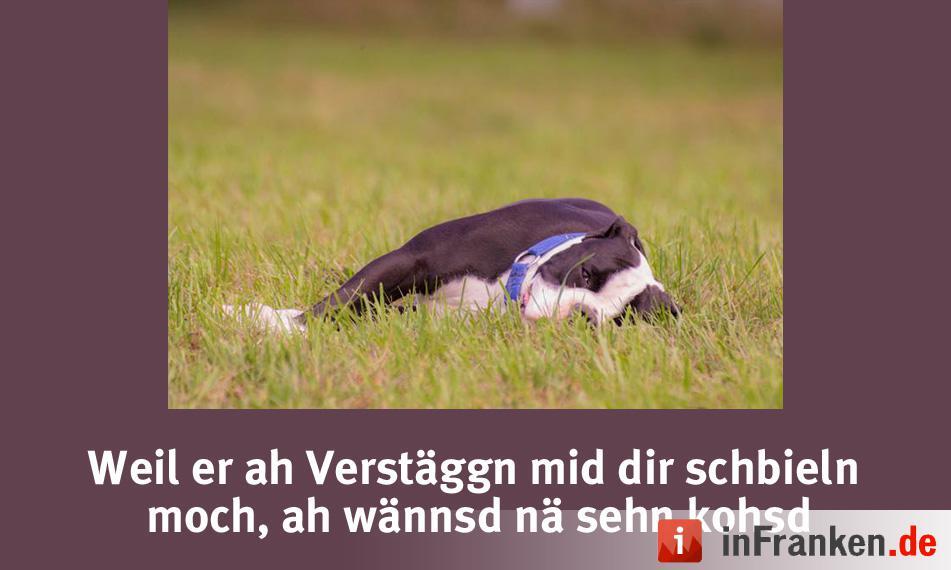 Foto: Anna Fox