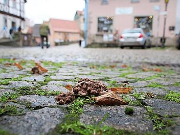 Einfach widerlich: Dieser Hundehaufen liegt mitten auf dem Anger. Überall in der Altstadt und an der Stadtmauer sind solche Hinterlassenschaften von Hunden zu finden.  Fotos: Thomas Malz