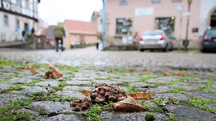 Einfach widerlich: Dieser Hundehaufen liegt mitten auf dem Anger. Überall in der Altstadt und an der Stadtmauer sind solche Hinterlassenschaften von Hunden zu finden.  Fotos: Thomas Malz