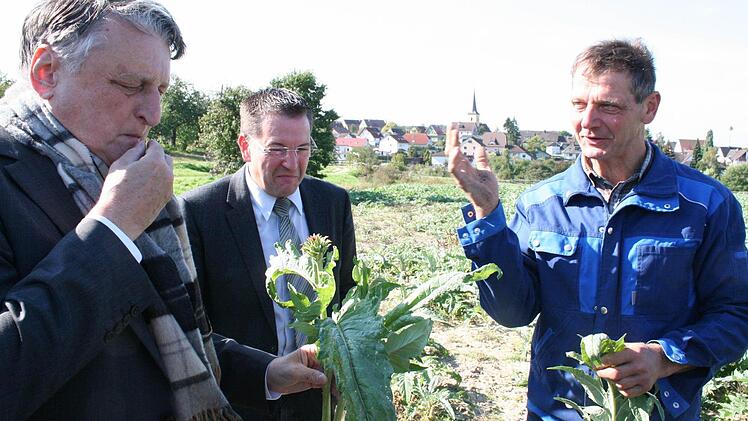 Wie Artischocken-Blätter schmecken ist deutlich dem Gesichtsausdruck von Bürgermeister Karsten Fischkal (Mitte) zu entnehmen. Dafür verantwortlich sind die Bitterstoffe in der Pflanze.