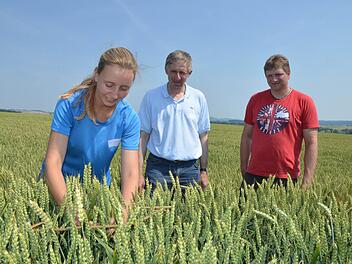 Carola Rudingsdorfer zeigt den Prüfern Martin Albrecht und Oliver Truckenbrodt, wie der zu erwartende Ertrag eines Weizenfelds ermittelt wird.  Foto: Rainer Lutz