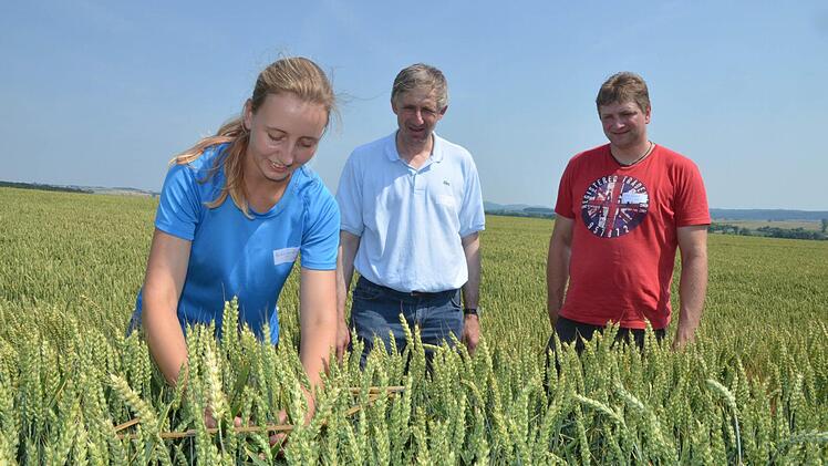Carola Rudingsdorfer zeigt den Prüfern Martin Albrecht und Oliver Truckenbrodt, wie der zu erwartende Ertrag eines Weizenfelds ermittelt wird.  Foto: Rainer Lutz