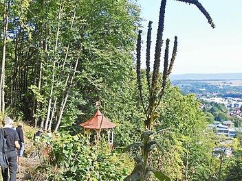 An einem sonnigen Hang, der von gewaltigen Königskerzen bewachsen ist, steht der Sonnentempel. Der Ausblick ins Tal und hinüber auf Frankenwald und Fichtelgebirge ist beeindruckend.  Foto: Katrin Geyer