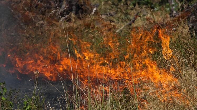 Obwohl eine hohe Waldbrandgefahr besteht, hat ein Mann aus Himmelkron seinen Hausmüll in der Nähe eines Waldes verbrannt. Julian Stähle/dpa