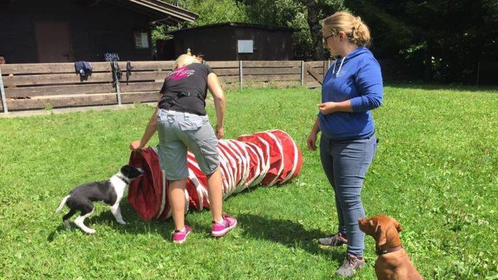 Die Vereinsvorsitzende Vanessa Hollweg (links) und Lea Schütz trainieren in der Welpenstunde mit den kleinsten Vierbeinern.
