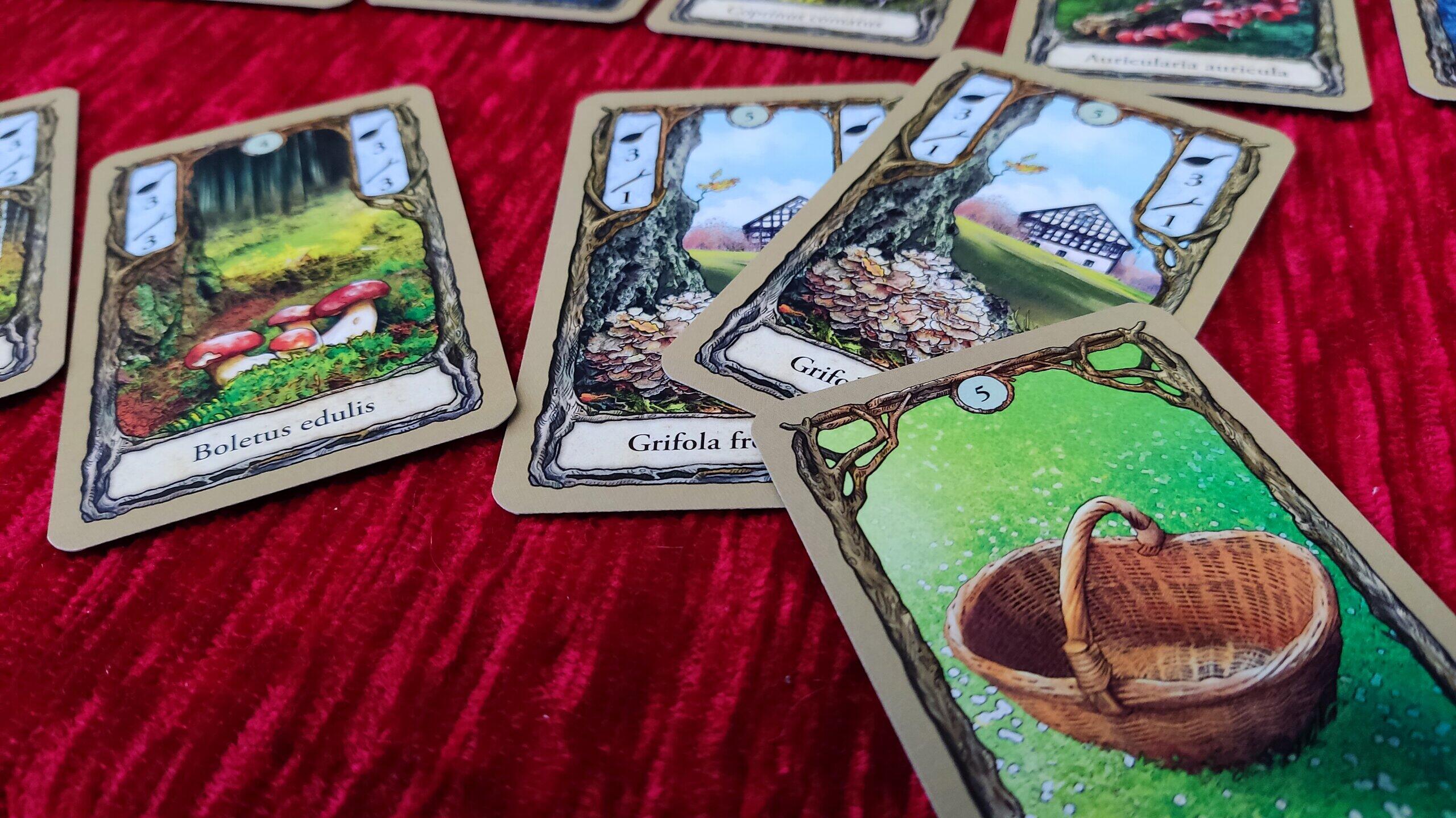 SpieleTest "Fungi" Pilzesammeln im eigenen Wohnzimmer KartenspielTipp für zwei Personen