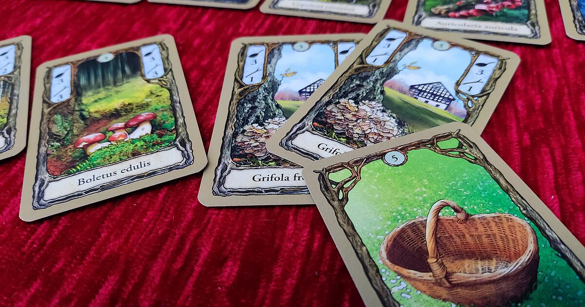  Die besten Kartenspiele: 11 Tipps von Fungi über Scout bis zum Beinhaus Bildidee 