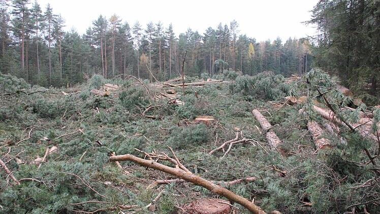 Die Fläche des Windrad-Standortes muss noch geräumt werden.  Foto: Friedwald Schedel
