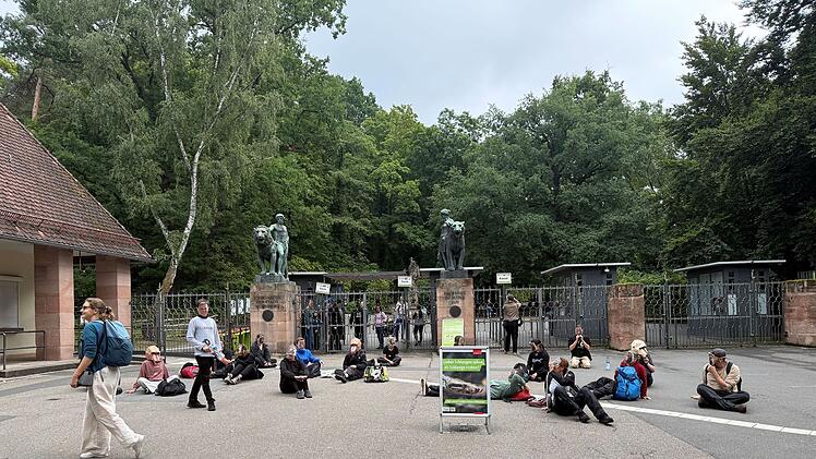 Vor Tiergarten Nürnberg: Aktivsten simulieren Paviantötung