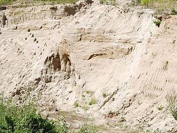 Die Steilwand der Etzelskirchner Sandgrube beherbergt eine Uferschwalbenkolonie.  Foto: Pauline Lindner
