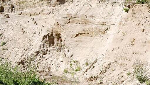 Die Steilwand der Etzelskirchner Sandgrube beherbergt eine Uferschwalbenkolonie.  Foto: Pauline Lindner