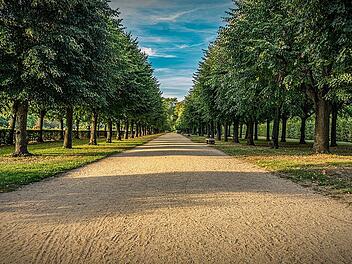 Der Schlossgarten Erlangen besticht durch viele schön angelegte Wege.