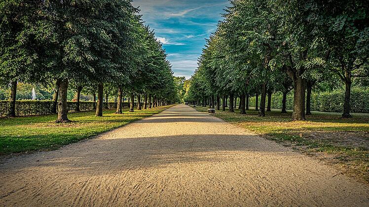 Der Schlossgarten Erlangen besticht durch viele schön angelegte Wege.