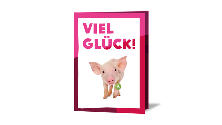 Statt klassischer Geschenke setzt OxfamUnverpackt auf sinnvolle Spenden mit nachhaltigem Effekt. So hilfst du, wo Unterst&uuml;tzung am meisten gebraucht wird.