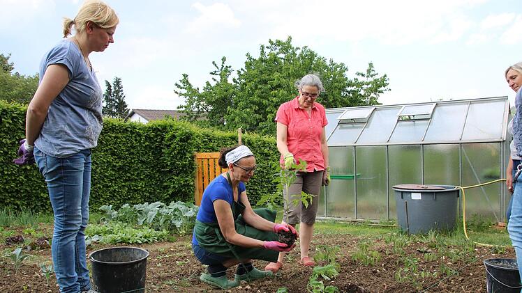 Impressionen vom Praxisunterricht Hausgartenbau