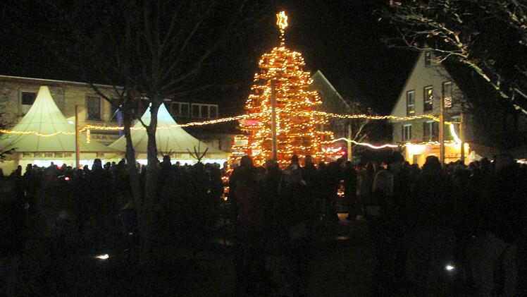 Die Lebenshilfe und die Werkstatt Hammelburg errichteten einen sieben Meter hohen Christbaum am Viehmarkt, den die Besucher schmückten.  Foto: Winfried Ehling