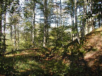 Auf dem Schlossberg bei Wolfersgrün, im Lamitzgrund zwischen Langenau und Thiemitz, erinnern nur noch Ringwälle und Grabenreste an die Burg Hohenrod. Alexander Grahl