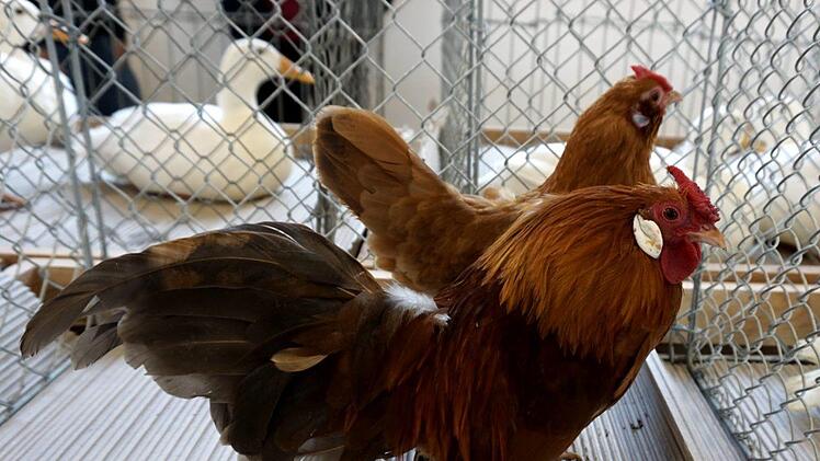 Foto: Richard Sänger