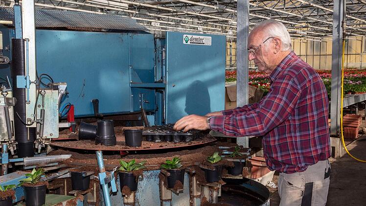 Noch hat der Michelauer Gärtnermeister Karl Nemmert jede Menge zu tun, zählt ein Teil der Familiengärtnerei doch als landwirtschaftlicher Betrieb. An der Maschine werden Jungpflanzen eingetopft.