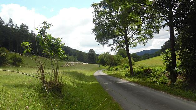 Auf dem Wanderweg kann man die schöne Landschaft genießen. Günter Reinlein