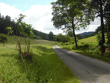 Auf dem Wanderweg kann man die schöne Landschaft genießen. Günter Reinlein