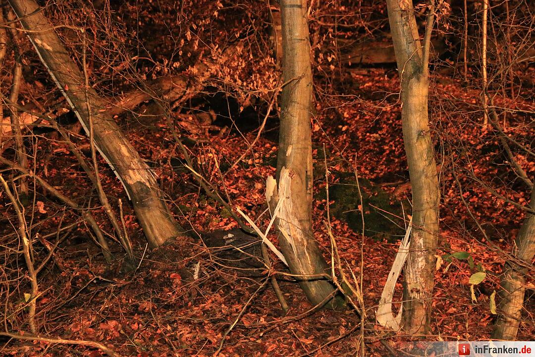 Pkw prallt bei Buch gegen Baum