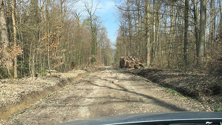 Nicht mehr für reguläre Fahrzeuge geeignet - die GVS im Wald zwischen Scheßlitz und Peulendorf. Foto: Anette Schreiber