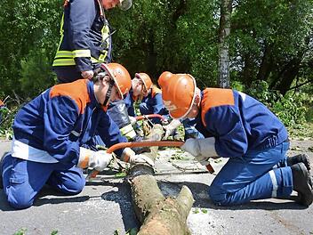 In Aktion: Die Teilnehmer am Berufsfeuerwehrtag zersägen einen Baum.  Foto: Björn Hein