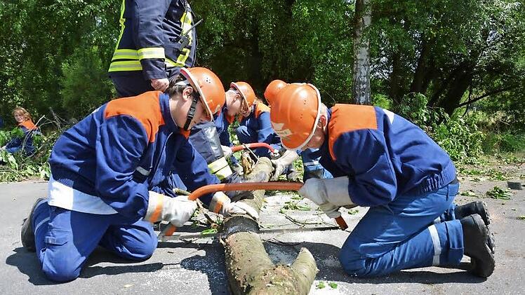 In Aktion: Die Teilnehmer am Berufsfeuerwehrtag zersägen einen Baum.  Foto: Björn Hein