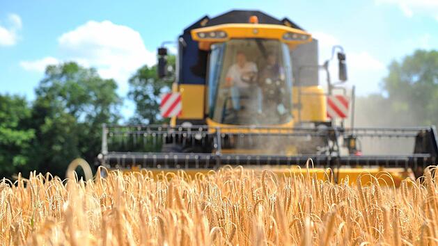 Ein Landwirt aus Vilshofen ist am Samstagabend von einem herabst&uuml;rzenden Getreidesack erdr&uuml;ckt worden. Dieser wog rund eine Tonne. Der Mann war sofort tot. Symbolfoto: Uwe Anspach/dpa