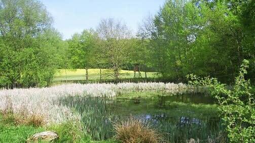 Der Nagelesee in der N&auml;he der H&uuml;gelgr&auml;ber erwartet die Wanderer auf dem neuen WanderLust-Weg "Rund um Obbach".  Foto: Eva Braksiek