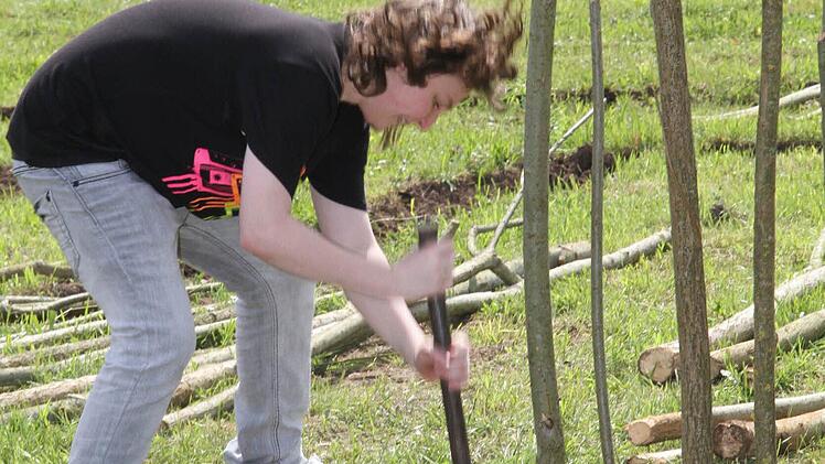 Florian Will braucht viel Kraft, um ein Loch für einen Steckling zu bohren.