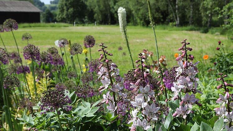 Impressionen aus dem Staudengarten der Familie Sagert in Marktschorgast Foto: Barbara Herbst