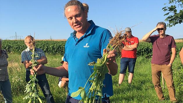 J&uuml;rgen Herrle erl&auml;utert an Lupinen und Soja die Entwicklung der Pflanzen.