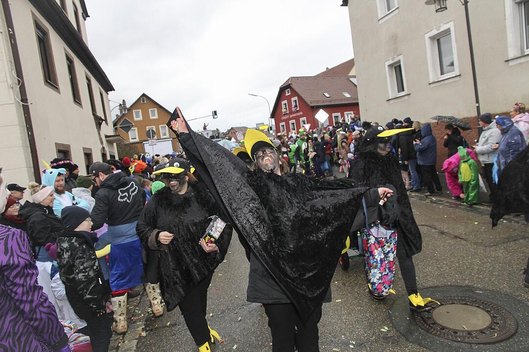 Großer Faschingsumzug  zum Stadtsteinacher Marktplatz