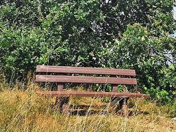 Die neue Sitzbank auf dem Glasendickenberg