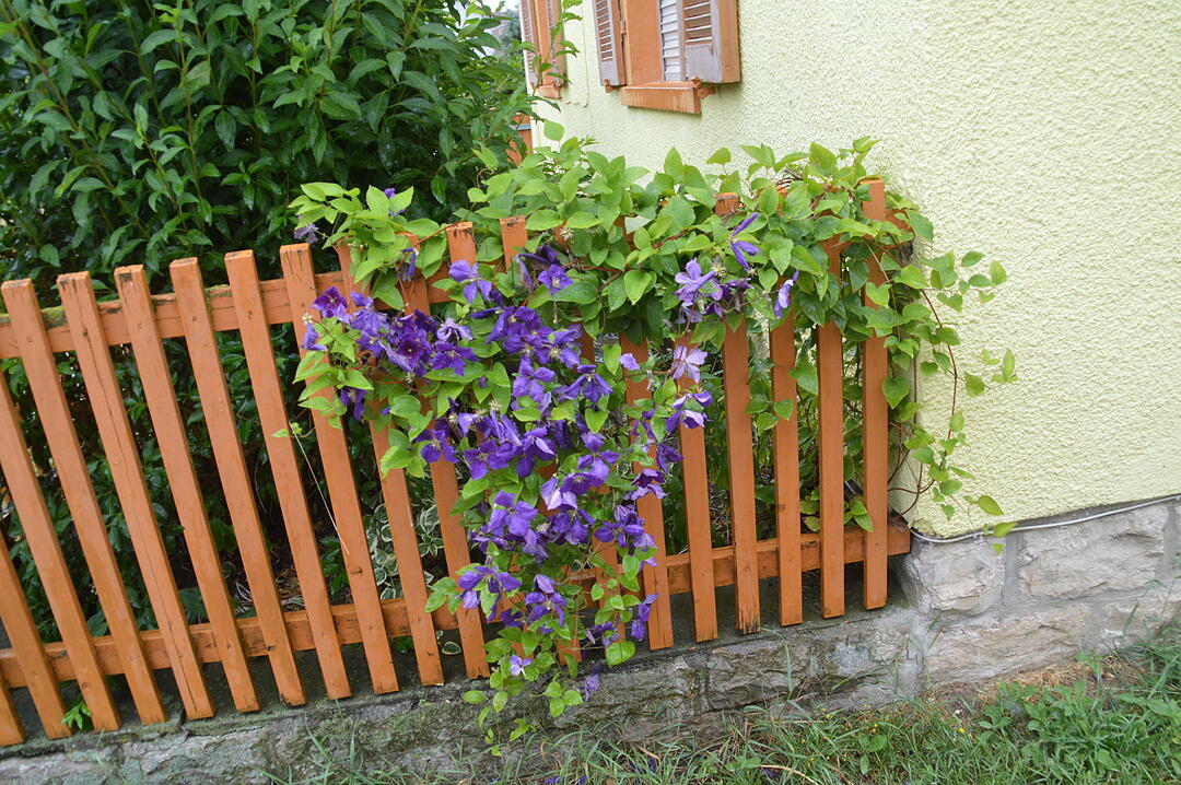 Hellmitzheim hat Zukunft