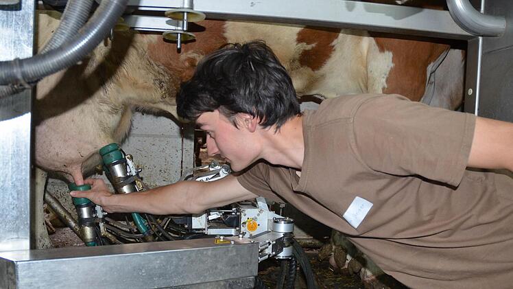 André Steiner zeigt bei der Prüfung zum Landwirt, dass er sich am Melkroboter auskennt. Fotos: Rainer Lutz