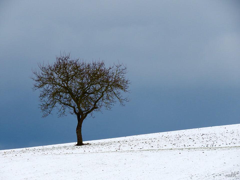 Die schönsten Frühlingsfotos aus den Haßbergen